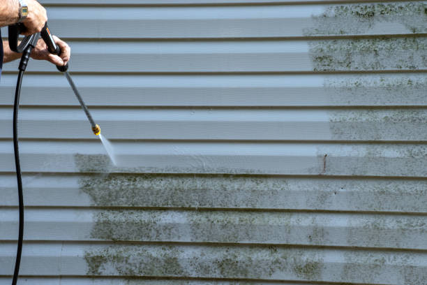 Trusted Midway, FL Siding Experts